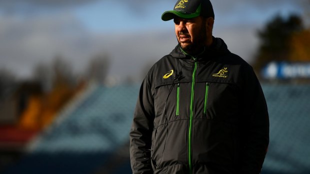 Leaving nothing to chance: Coach Michael Cheika says the focus has been on the Wallabies' attitude, intensity and skill ahead of the Test against Ireland.