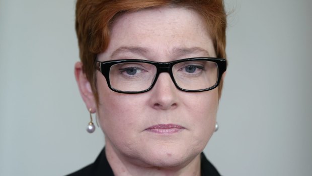 Defence Minister Marise Payne says Australia's relationship with Indonesia is vital and a strong and productive bilateral relationship is critical to Australia's national security. 