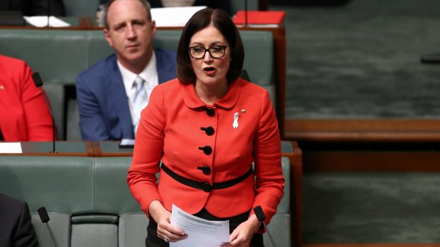 Liberal MP Sarah Henderson told parliament in 2015 the death of her friend at the hands of her partner taught her family violence was pervasive.