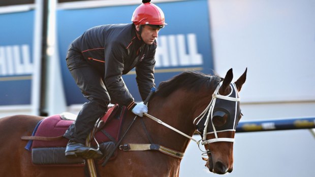 Doing his thing: Moonee Valley specialist  Mourinho is a strong chance in the Dato Tan Chin Nam Stakes on Saturday.