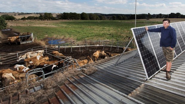 Lindsay Anderson is a dairy farmer in Athlone, Victoria. More than one in every five Australian homes has solar panels.