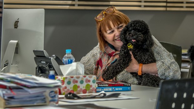 International Bring Your Dog to Work Day is a day like any other for Canberra pooch Coco and her owner Judy Waters.