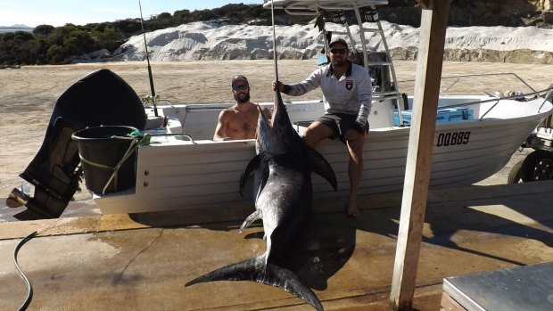 The enormous swordfish weighed in at 175.5 kilos - an unofficial record for WA.