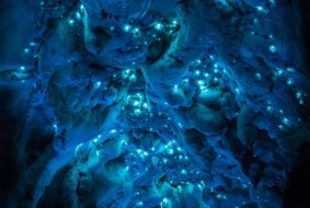 Joseph Michael's series, <i>Luminosity</i>, captures the light of glow-worms in limestone caves of northern New Zealand.