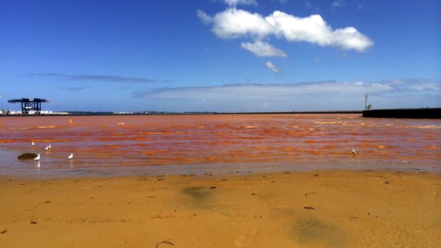 Foreshore Beach at Port Botany is Sydney's most polluted swimming spot.