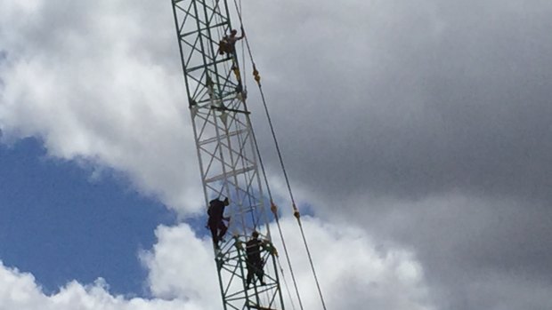 Police began to climb the crane shortly after 10am in an attempt to bring the man down.