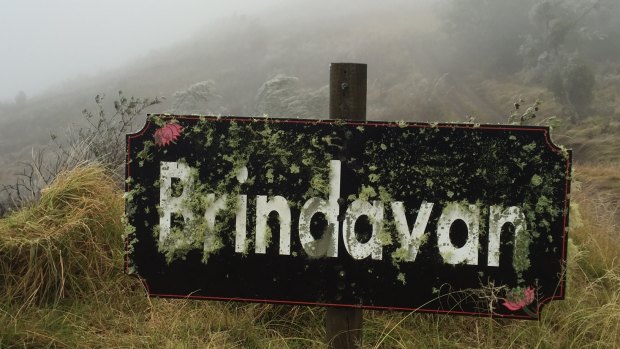Brindavan on top of the Bunya Mountains. Not quite snow
