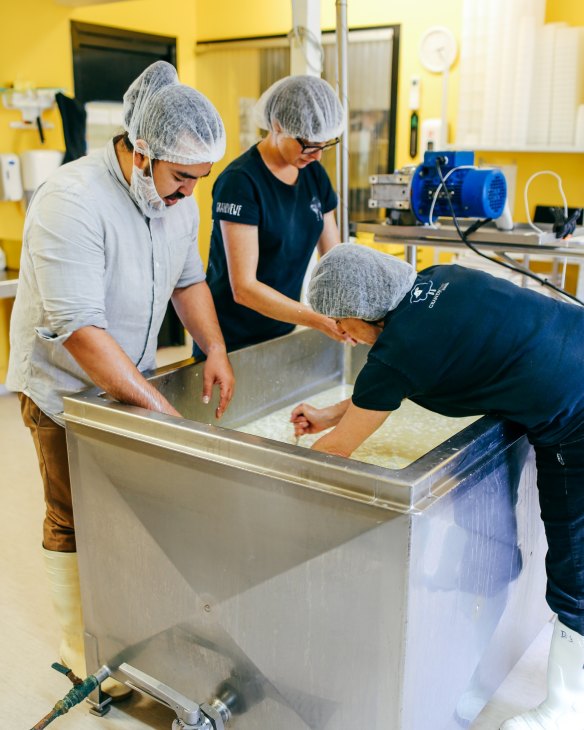 Adam Liaw gets hands-on with the cheesemaking process at Grandvewe.