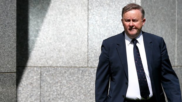 Deputy Labor leader Anthony Albanese is among those who have tried to raise awareness of the dangers of hui loans.