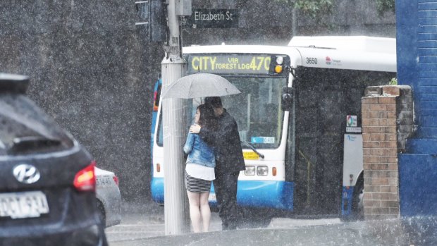 Umbrellas cause havoc with Sydney's buses.