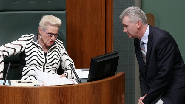 Speaker Bronwyn Bishop and manager of opposition business Tony Burke have both been revealed as lavish travellers on the public purse.