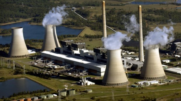 Bayswater power station in the Hunter Valley is being investigated after reports its blended coal to hide its emissions.