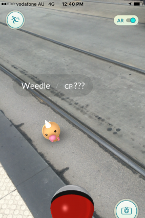 A Weedle on the tram tracks.