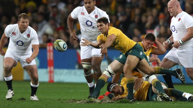 Under fire: Wallabies halfback Nick Phipps has been widely criticised following the series defeat to England.