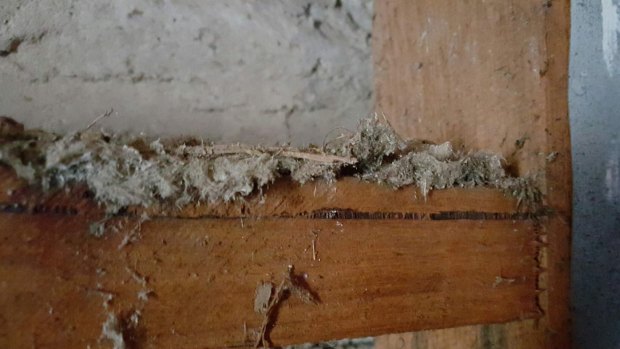 Fluffy asbestos insulation discovered in the wall cavities of a Weston Creek house, some of the worst contamination found to date.