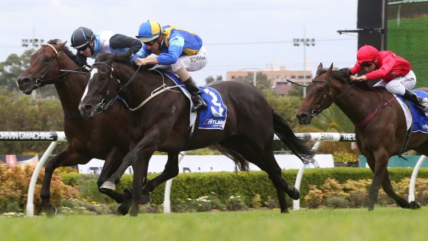 Sweet sounds: Hugh Bowman (blue and yellow) rides Music Magnate to victory at Canterbury on Saturday.