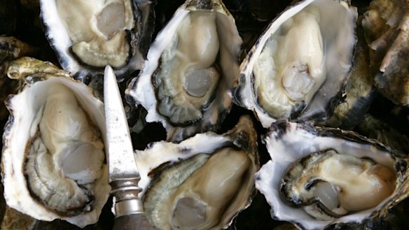 Seafood poisoning warning issued for shellfish in Swan and Canning rivers