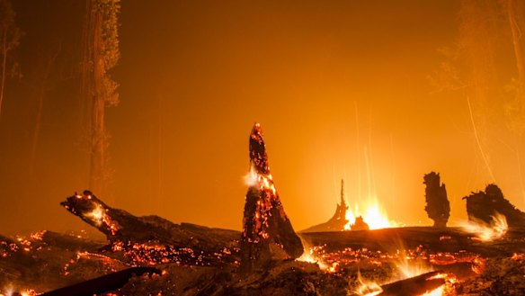 Indonesia's annual burning season has been made worse by the El Nino-linked drought.