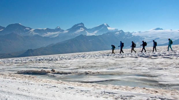 Trekkers descending on a glacier from Rifugio Teodulo, part of the Tour de Monte Rosa.
