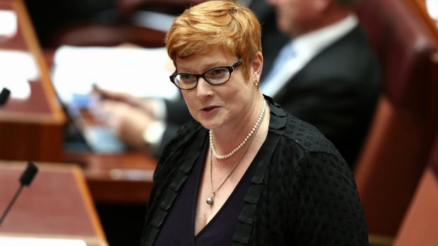 Senator Marise Payne has been named Australia's first female Defence Minister in Malcolm Turnbull's cabinet reshuffle.