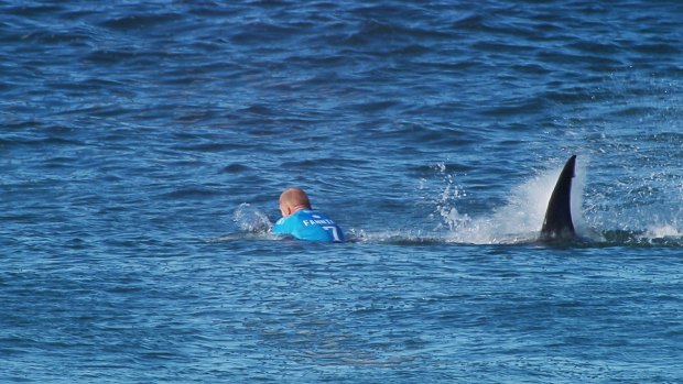 Close call: Australian surfer Mick Fanning's encounter with a shark drew international headlines in 2015.