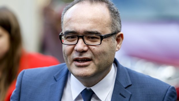 Accused: Andrews government minister Adem Somyurek. Concerns have been raised about backroom attempts to denigrate his accuser.