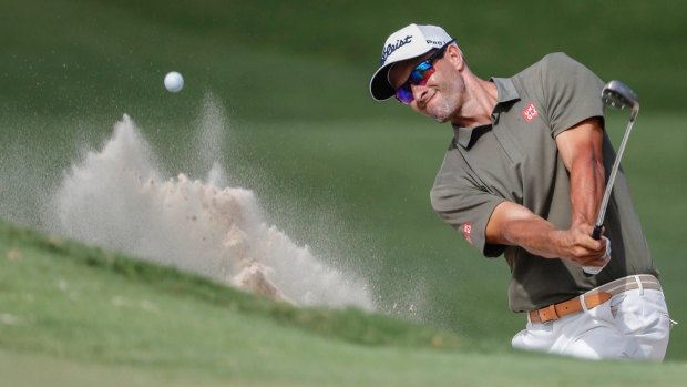 Trouble: Adam Scott hits out of the bunker on day two of the Australian PGA Championships at Royal Pines.