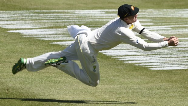 Screamer: Adam Voges takes a catch to dismiss Jerome Taylor.