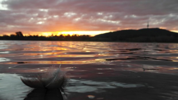 Reflection time: As the sun sets on 2014 let's look back on the year that was for Canberra.