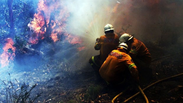 Firefighters fight a battle with a firey beast at the back of Crane Street, Springwood.