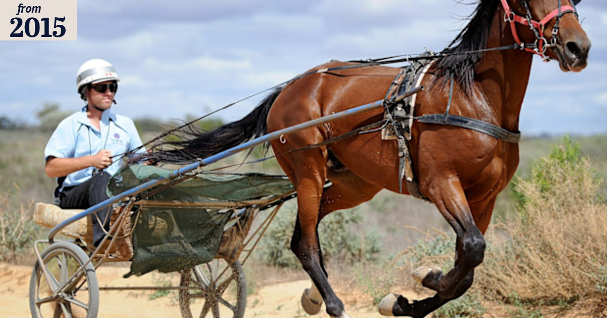 High profile father and son harness racing team avoid jail for betting fix