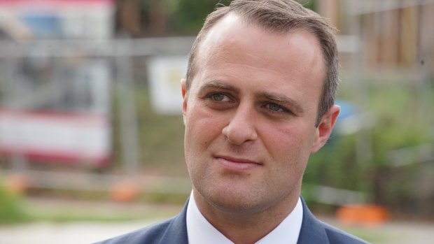 Tim Wilson is contesting the blue-ribbon seat of Goldstein.