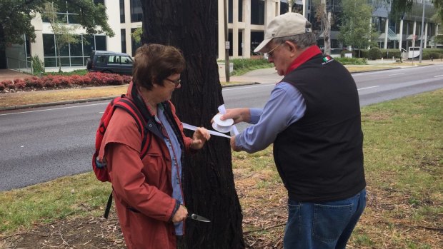 CanTheTram protesters Dr Jenny Stewart and Max Flint put white ribbon around Northbourne Avenue trees slated to be remove to make way for light rail.