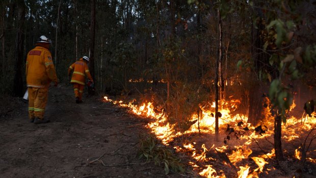 Rural Fire Service and other fire authorities have had a busier than usual start to the bushfire season.