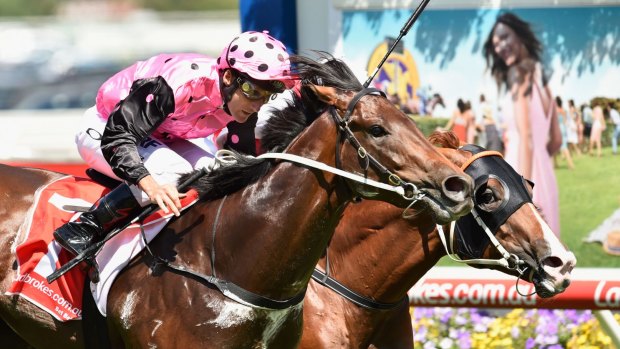 Flying Artie is on target for the Coolmore Stud Stakes at Flemington.