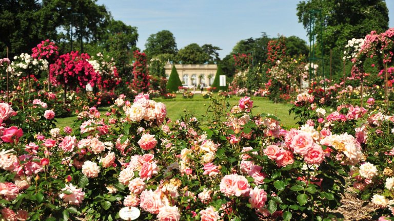 The world's top 10 rose gardens
