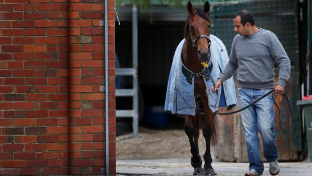 Horse trainer Saab Hasan says officer at the gates to Flemington refused him entry and pepper-sprayed him.