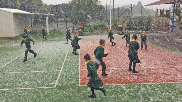 Snow and hail at St Mary's Primary School in Ballarat.