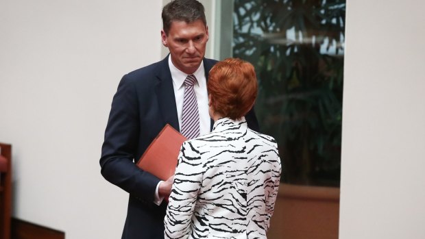 Senator Cory Bernardi has called on the government to support similar positions to those of One Nation. 