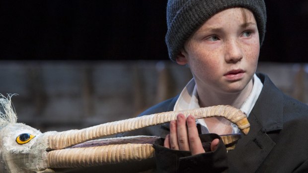 Rory Potter in Storm Boy for the Sydney Theatre Company.