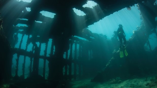 World War II Shipwreck, the Solomon Islands.