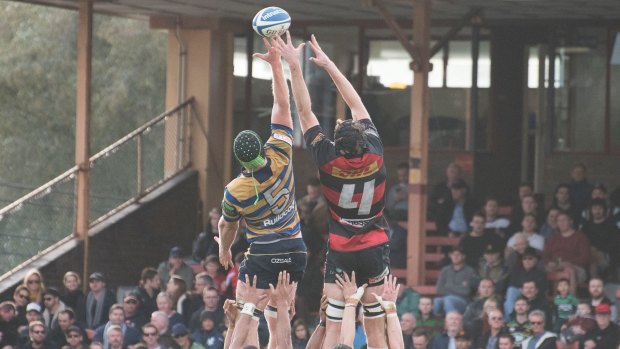 The 2016 Shute Shield grand final between Norths and Sydney University at North Sydney Oval. 
