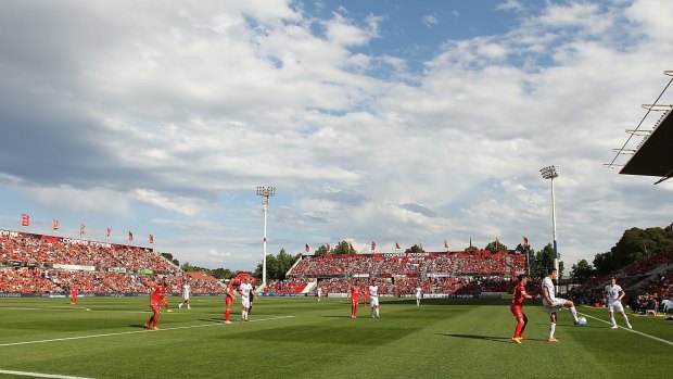 Well supported: Adelaide United fans turned out in force for their match against the Glory.