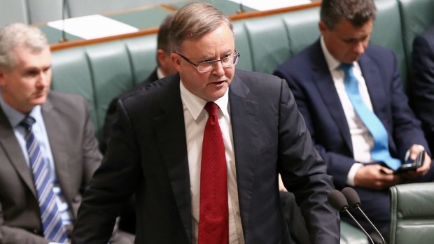 Anthony Albanese, who holds the inner western Sydney seat of Grayndler, has been linked to a switch to the neighbouring seat of Barton.