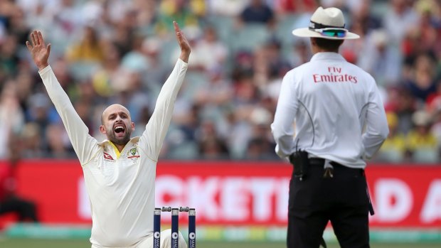 Asking the question: Nathan Lyon appeals to umpire Chris Gaffaney for a lbw decision on Alastair Cook. The appeal was denied but Cook was out on review.