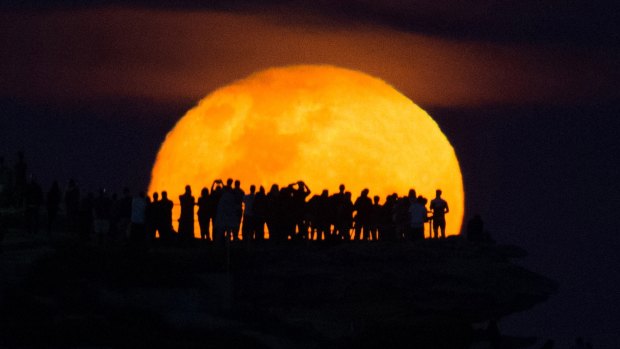 The moon rises in Bondi, Sydney, on November 15, a day after the official supermoon was obscured by clouds.