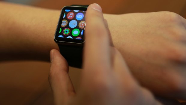 A software update for the Apple Watch has been delayed indefinitely. 