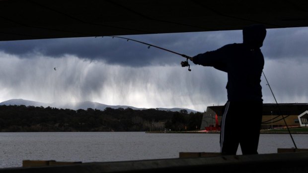 A lone fisherman casts a line in Lake Burley Griffin under the Commonwealth Avenue bridge as a curtain of rain falls on the hills.