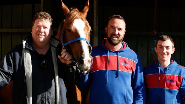 Cup hope: Single Gaze, with part-owner Martin Hay, trainer Nick Olive and foreman Billy Owen, just keeps proving everyone wrong. 