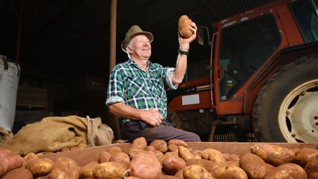 Third-generation potato farmer Bernie White.